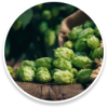 02. Hops