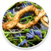 08. Inulin